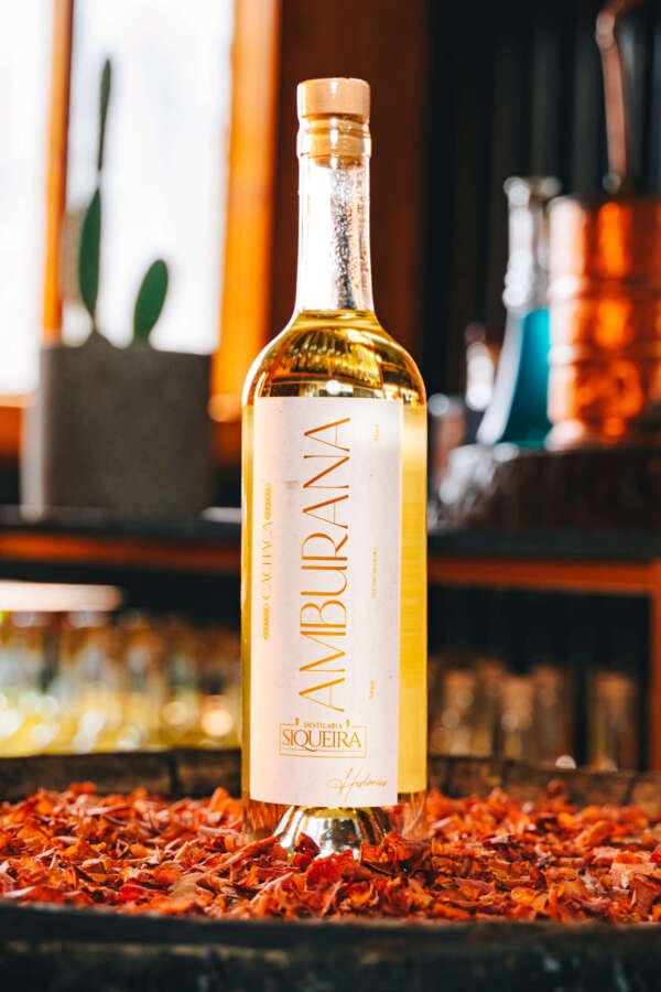 Cachaça Siqueira Amburana